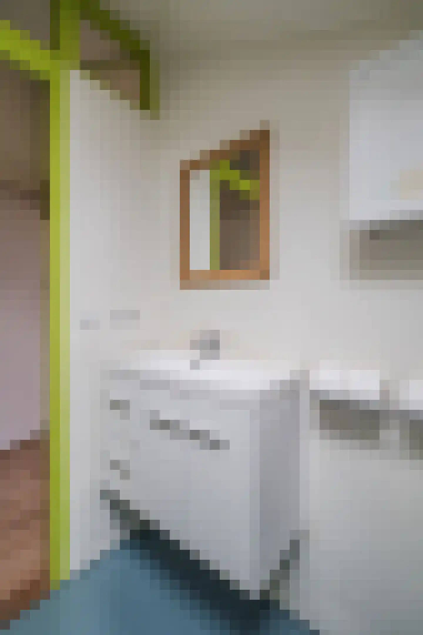 Dovenetel 52 Apeldoorn thumbnail 13