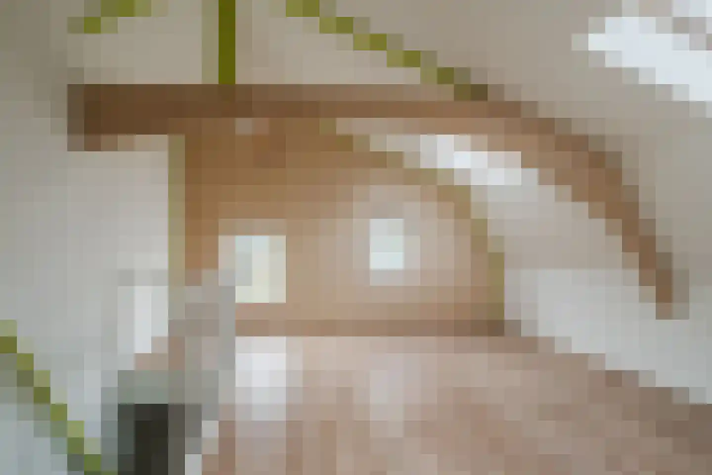 Dovenetel 52 Apeldoorn thumbnail 16