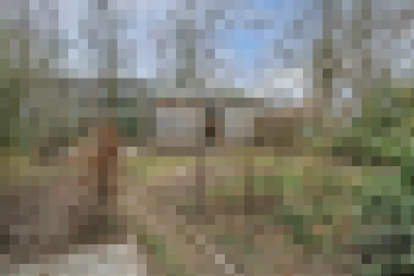 Dovenetel 52 Apeldoorn thumbnail 21