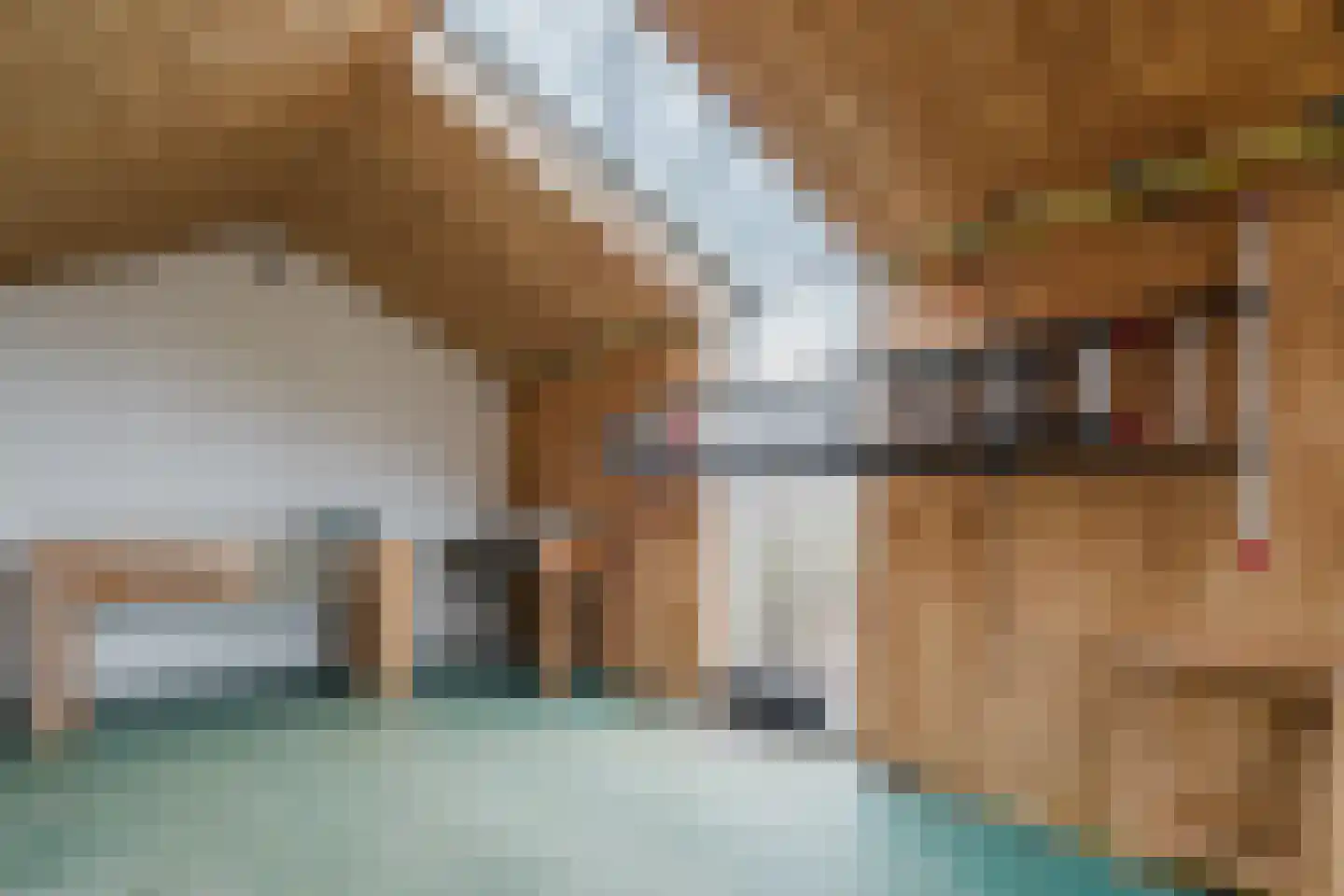 Dovenetel 52 Apeldoorn thumbnail 23
