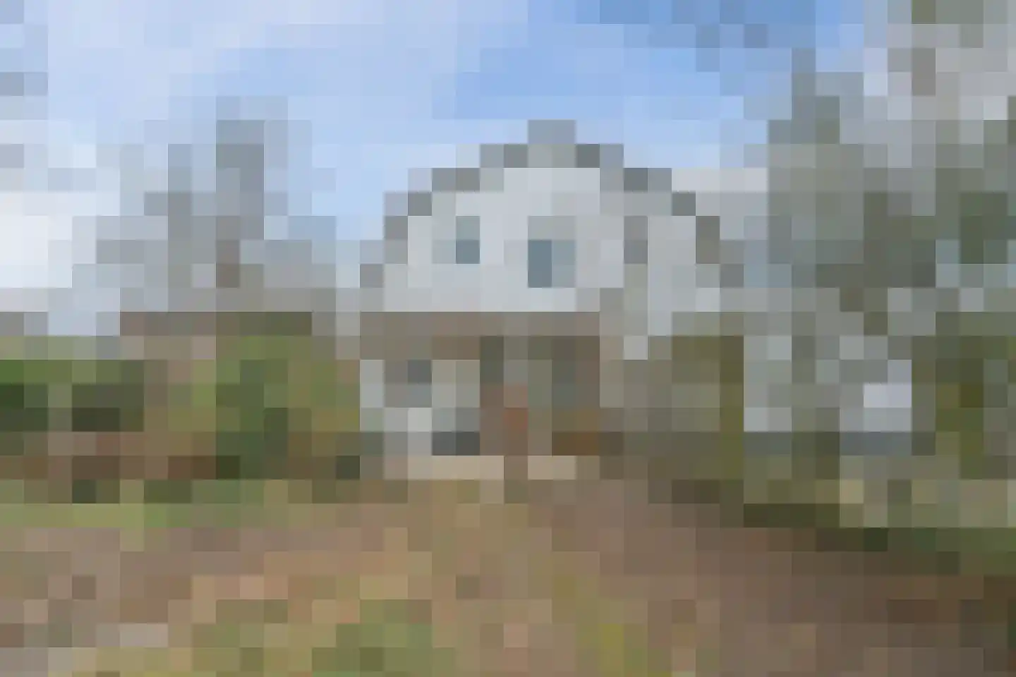 Dovenetel 52 Apeldoorn thumbnail 27