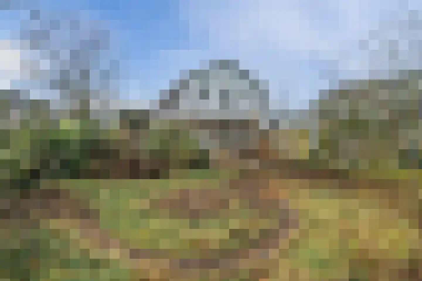 Dovenetel 52 Apeldoorn thumbnail 28