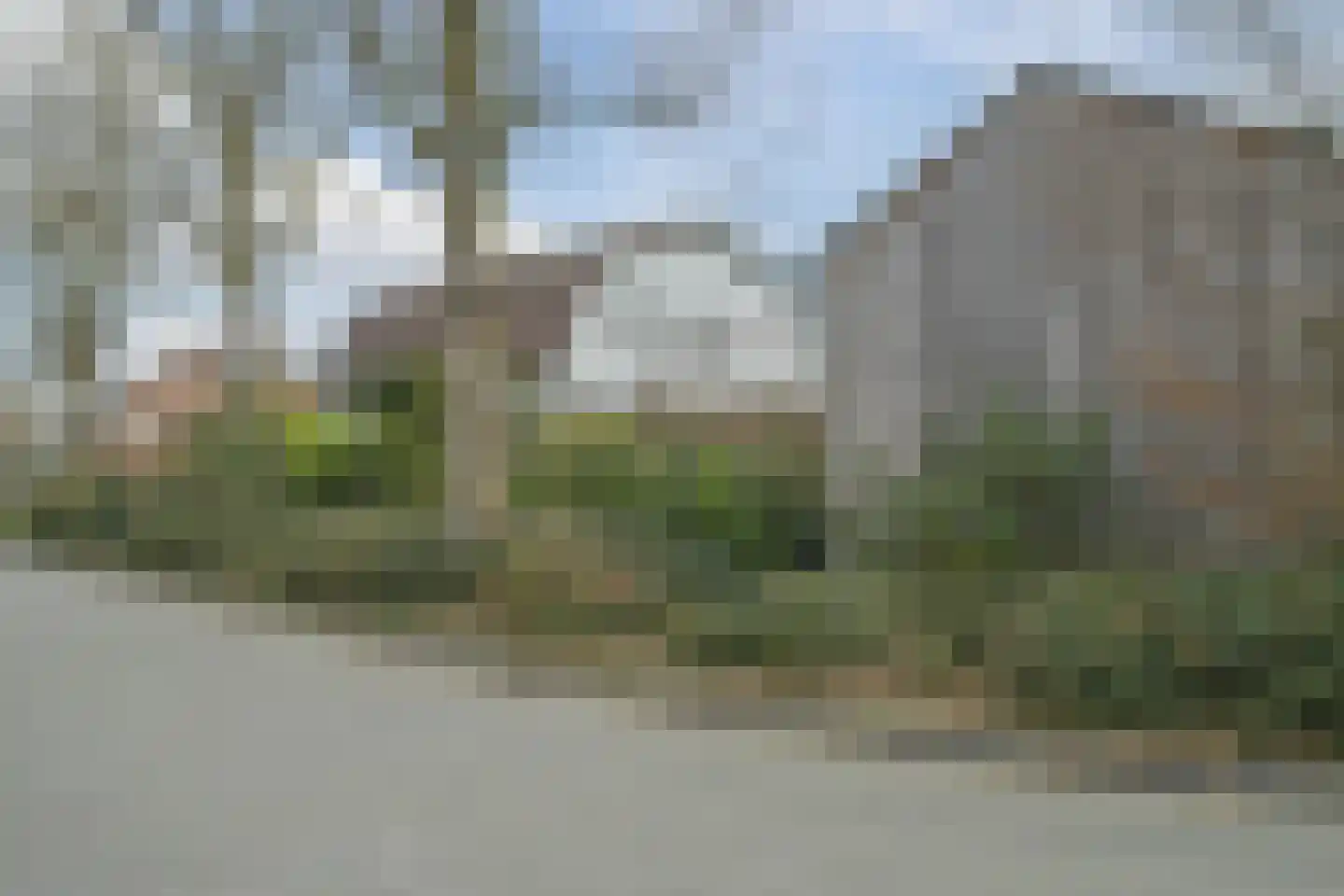 Dovenetel 52 Apeldoorn thumbnail 29