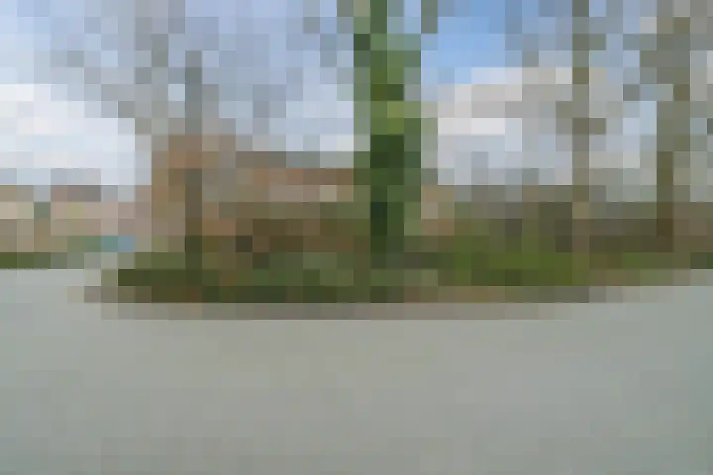 Dovenetel 52 Apeldoorn thumbnail 30