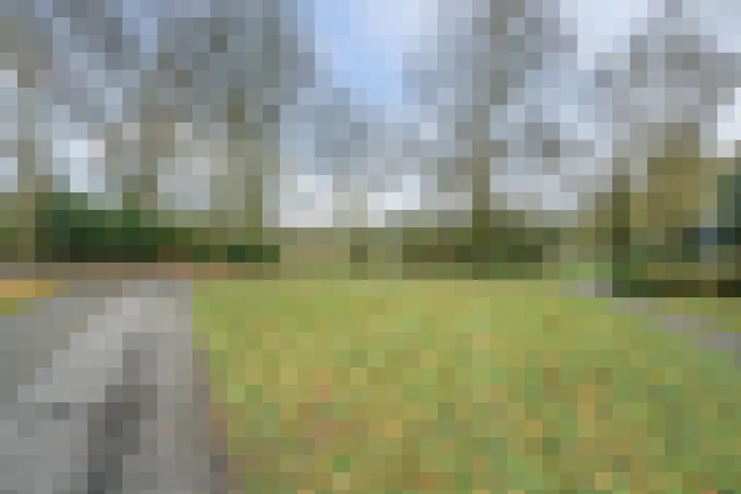 Dovenetel 52 Apeldoorn thumbnail 33