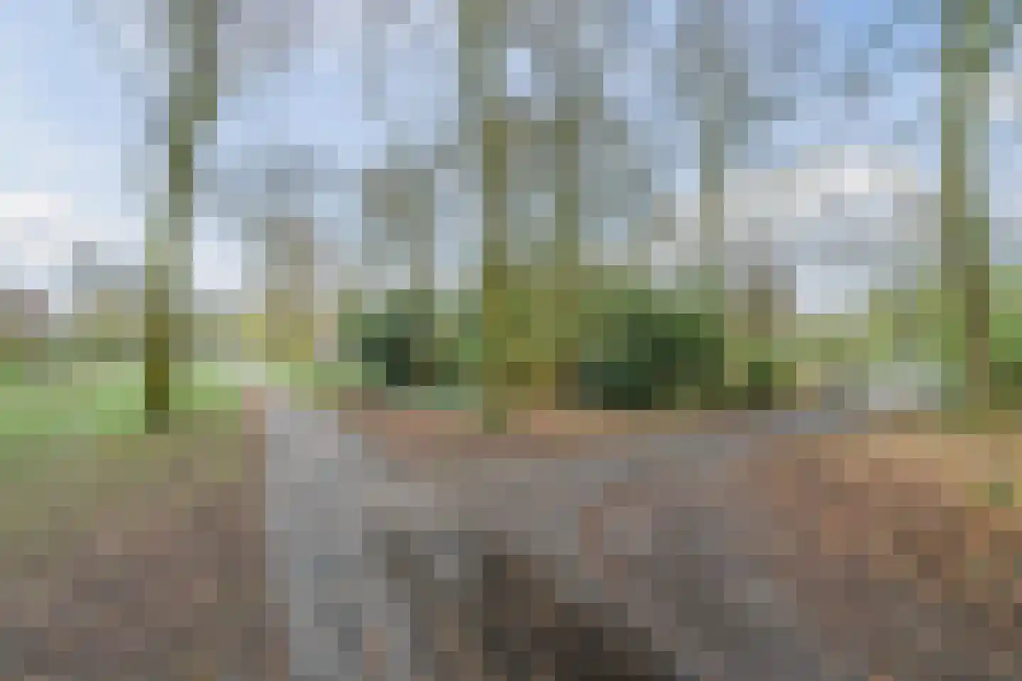 Dovenetel 52 Apeldoorn thumbnail 34