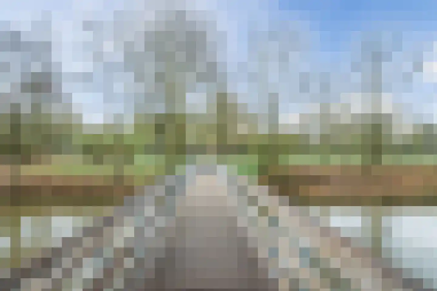 Dovenetel 52 Apeldoorn thumbnail 35