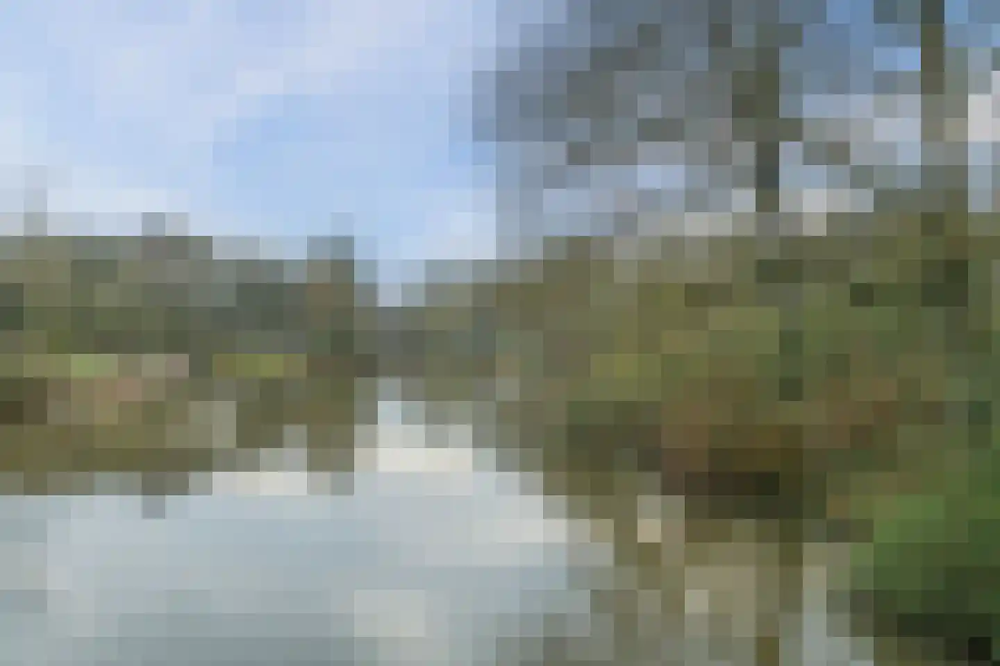 Dovenetel 52 Apeldoorn thumbnail 36