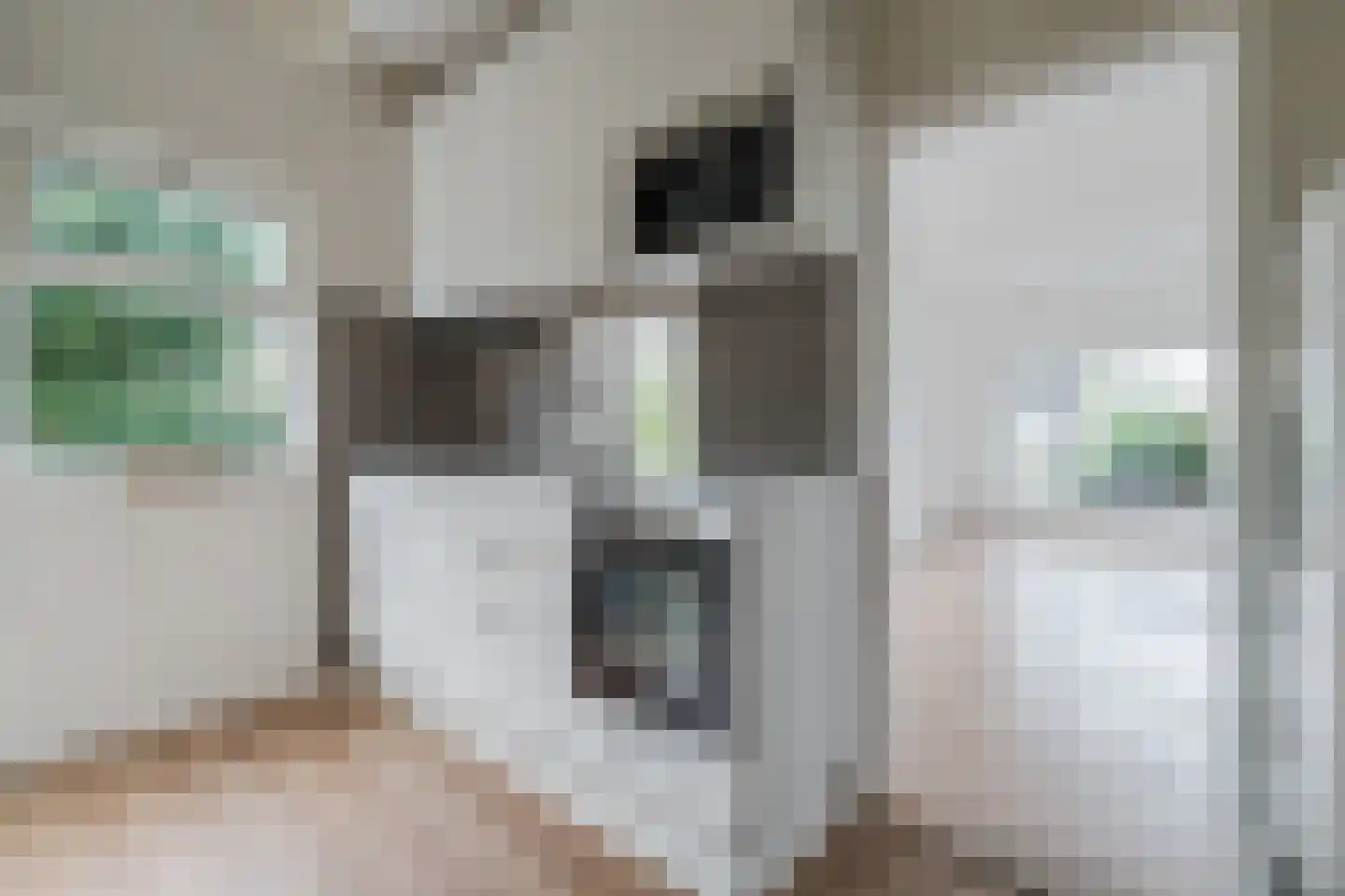Dovenetel 52 Apeldoorn thumbnail 5
