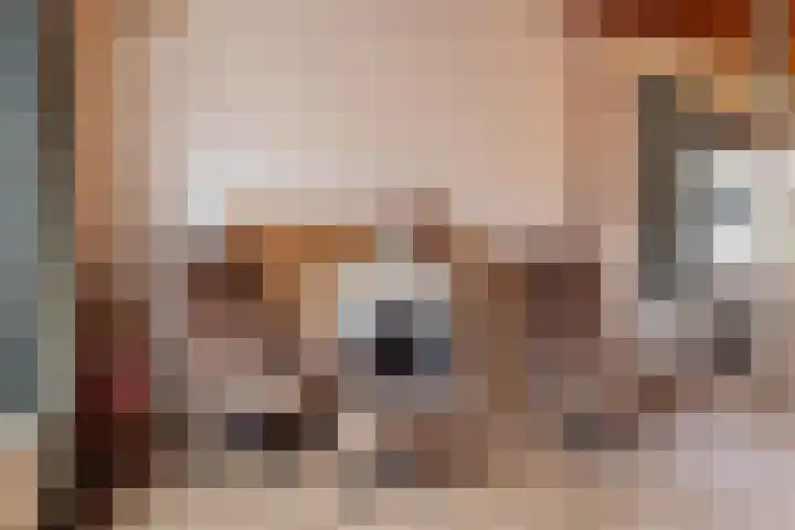 Dovenetel 52 B Apeldoorn thumbnail 13