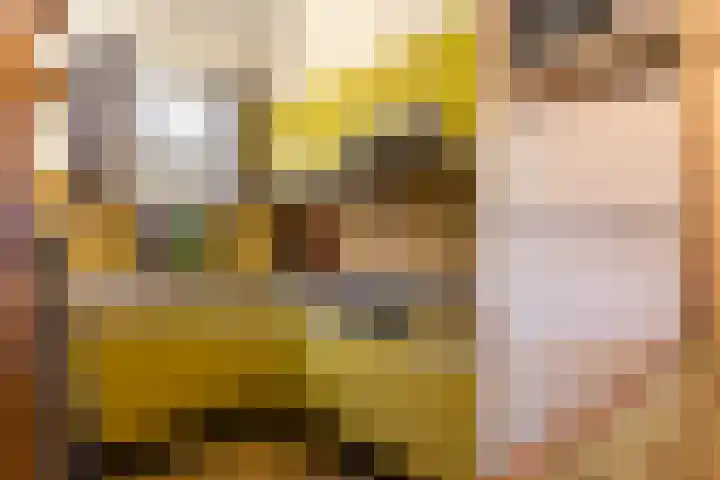 Dovenetel 52 B Apeldoorn thumbnail 17