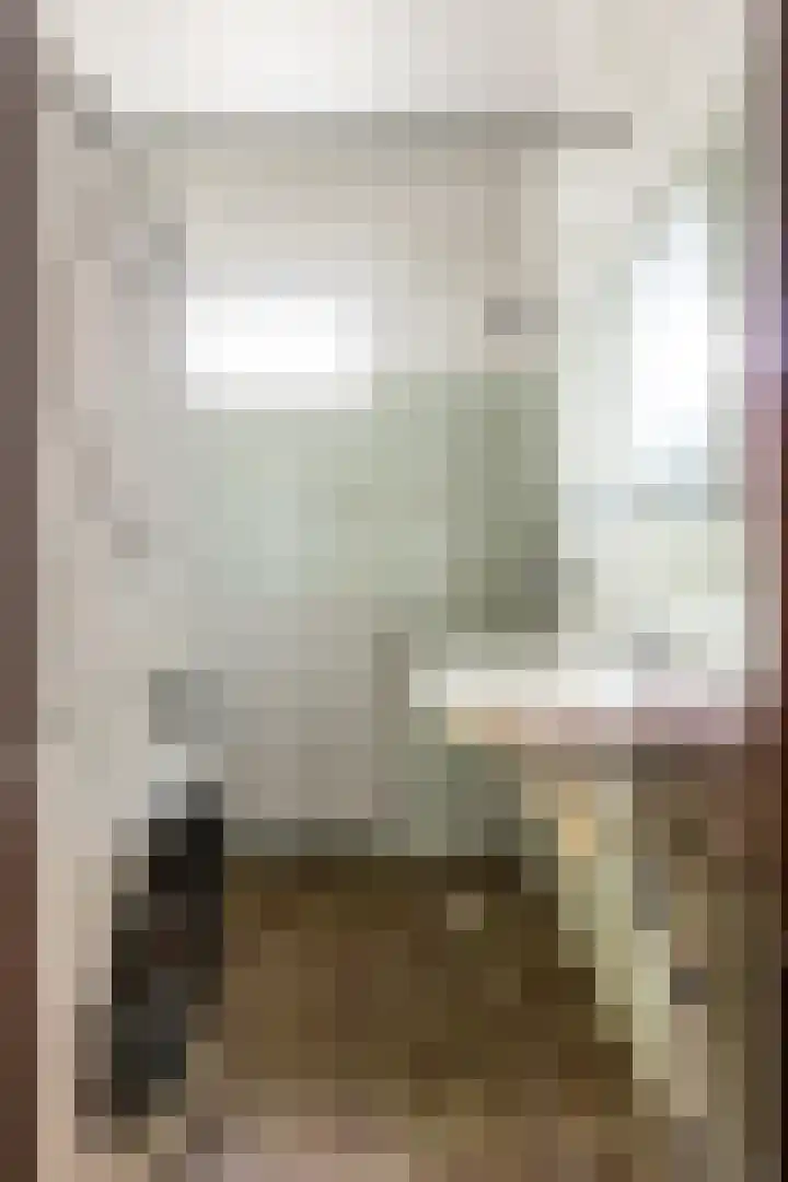 Dovenetel 52 B Apeldoorn thumbnail 19