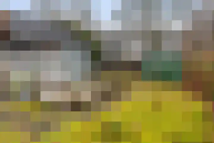 Dovenetel 52 B Apeldoorn thumbnail 23
