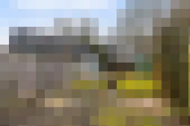Dovenetel 52 B Apeldoorn thumbnail 24