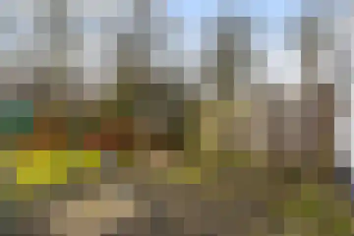 Dovenetel 52 B Apeldoorn thumbnail 25