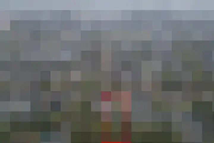 Dovenetel 52 B Apeldoorn thumbnail 27