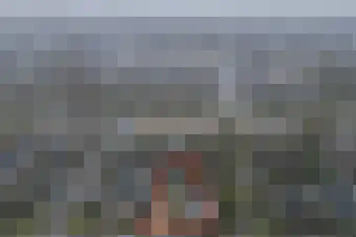 Dovenetel 52 B Apeldoorn thumbnail 28
