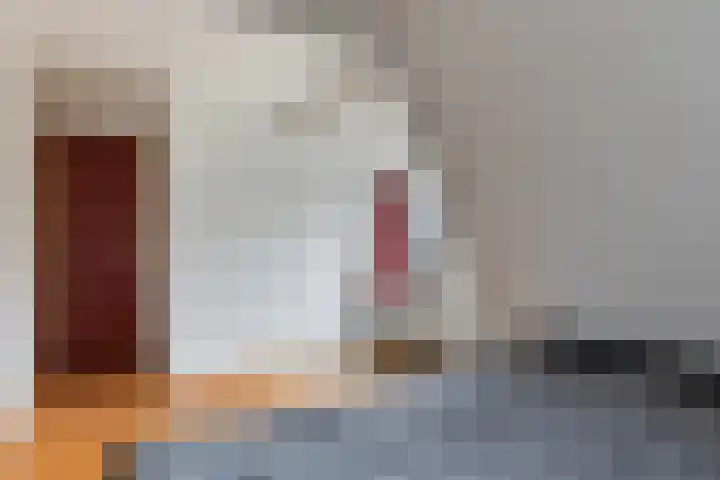 Dovenetel 52 B Apeldoorn thumbnail 33