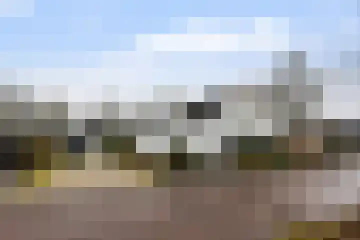 Dovenetel 52 B Apeldoorn thumbnail 38
