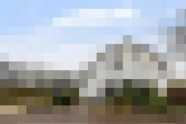 Dovenetel 52 B Apeldoorn thumbnail 4