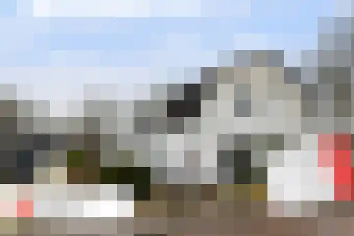 Dovenetel 52 B Apeldoorn thumbnail 48