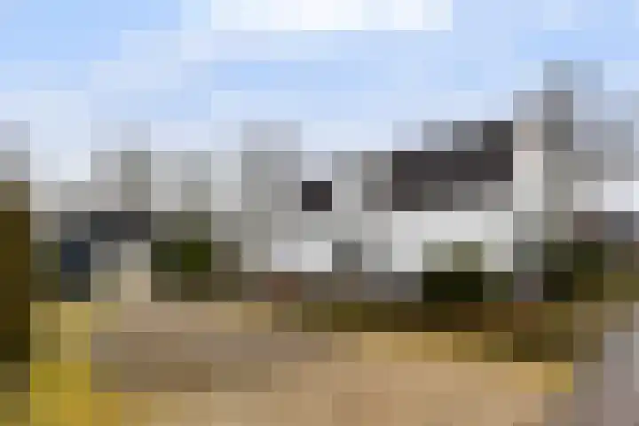 Dovenetel 52 B Apeldoorn thumbnail 6