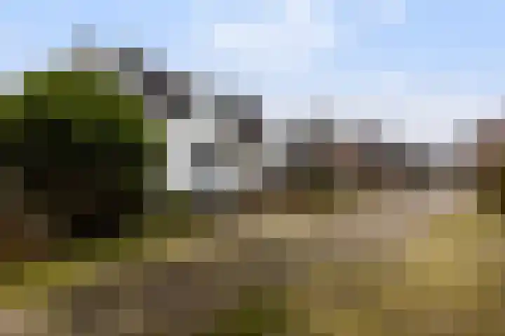 Dovenetel 52 B Apeldoorn thumbnail 7