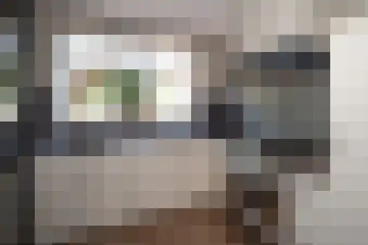 Dovenetel 6 Rijssen thumbnail 15