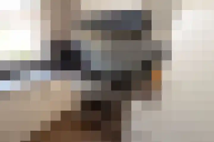 Dovenetel 6 Rijssen thumbnail 16