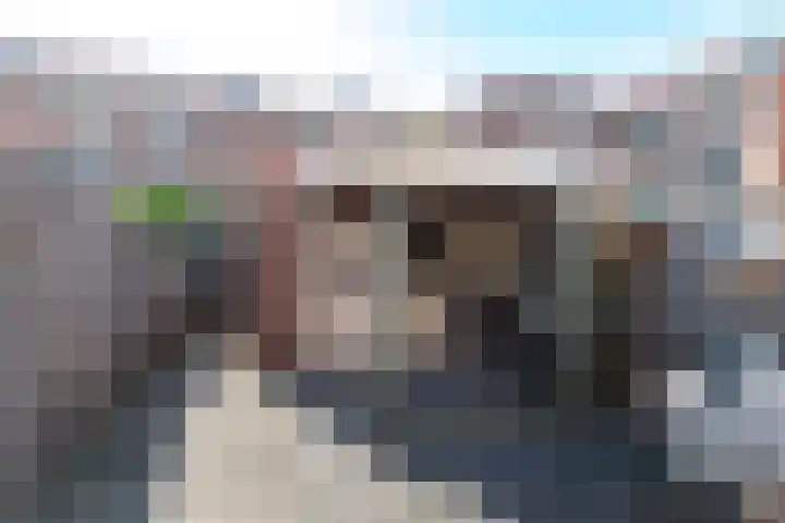 Dovenetel 6 Rijssen thumbnail 38