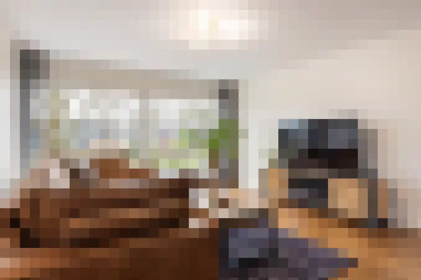 Dovenetel 96 Apeldoorn thumbnail 16