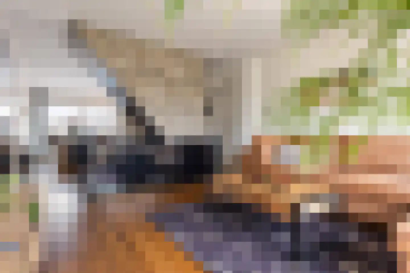 Dovenetel 96 Apeldoorn thumbnail 17