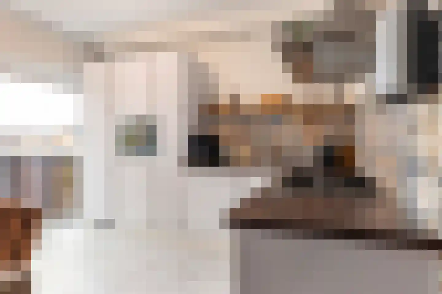 Dovenetel 96 Apeldoorn thumbnail 22