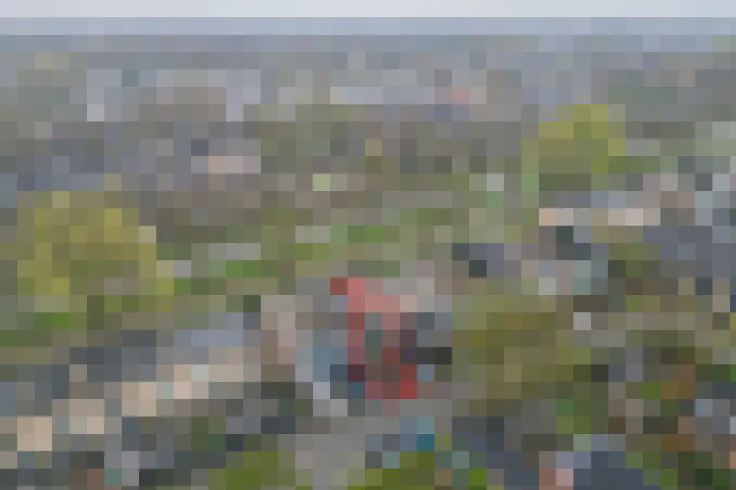 Dovenetel 96 Apeldoorn thumbnail 36