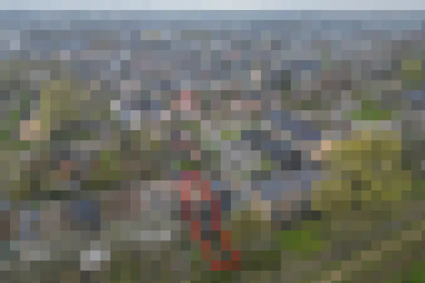 Dovenetel 96 Apeldoorn thumbnail 37