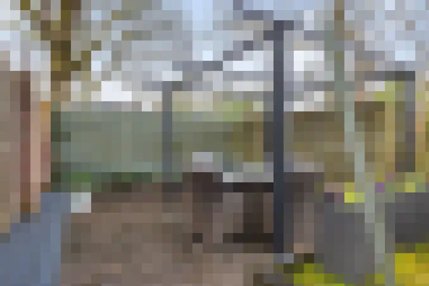 Dovenetel 96 Apeldoorn thumbnail 4