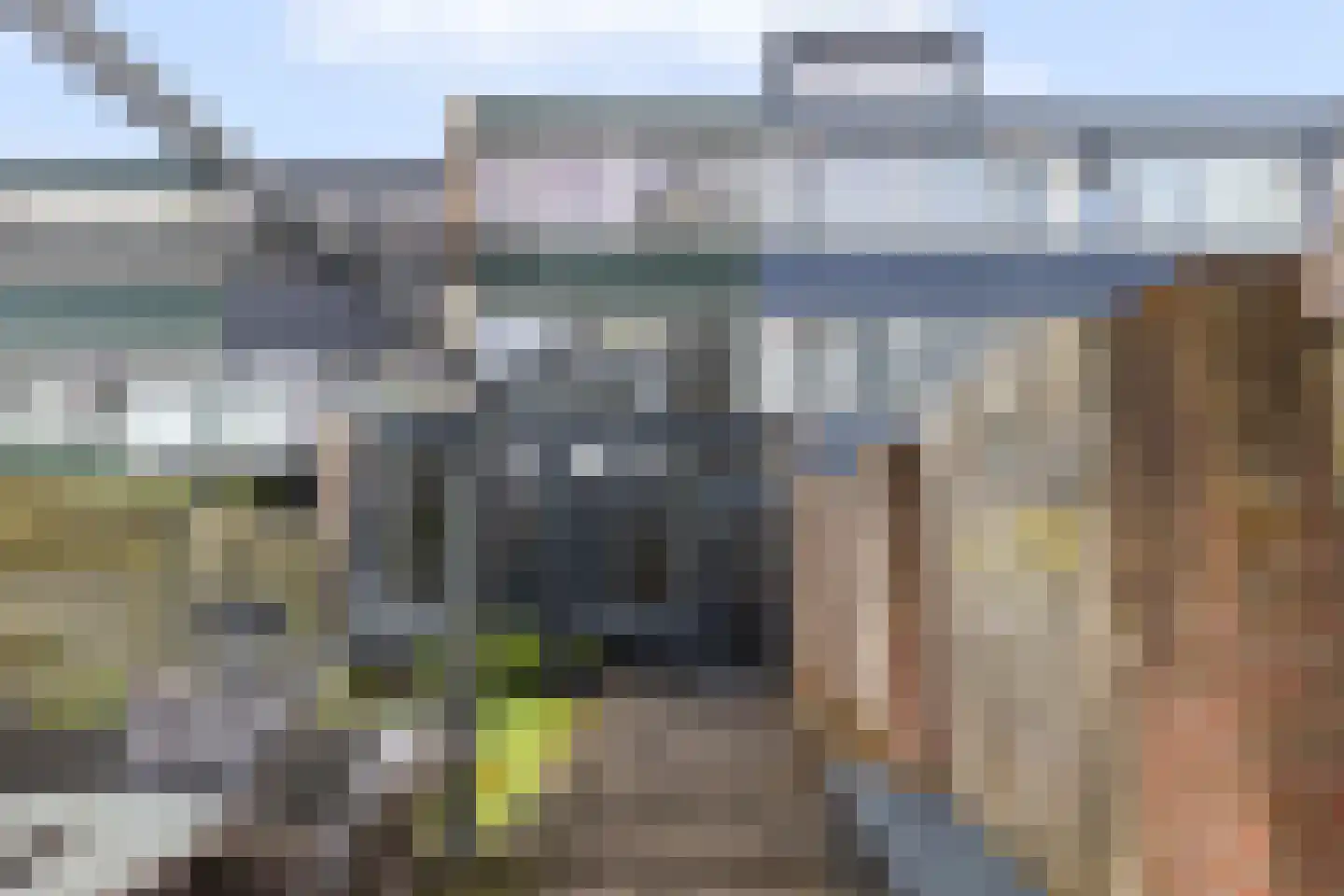 Dovenetel 96 Apeldoorn thumbnail 6