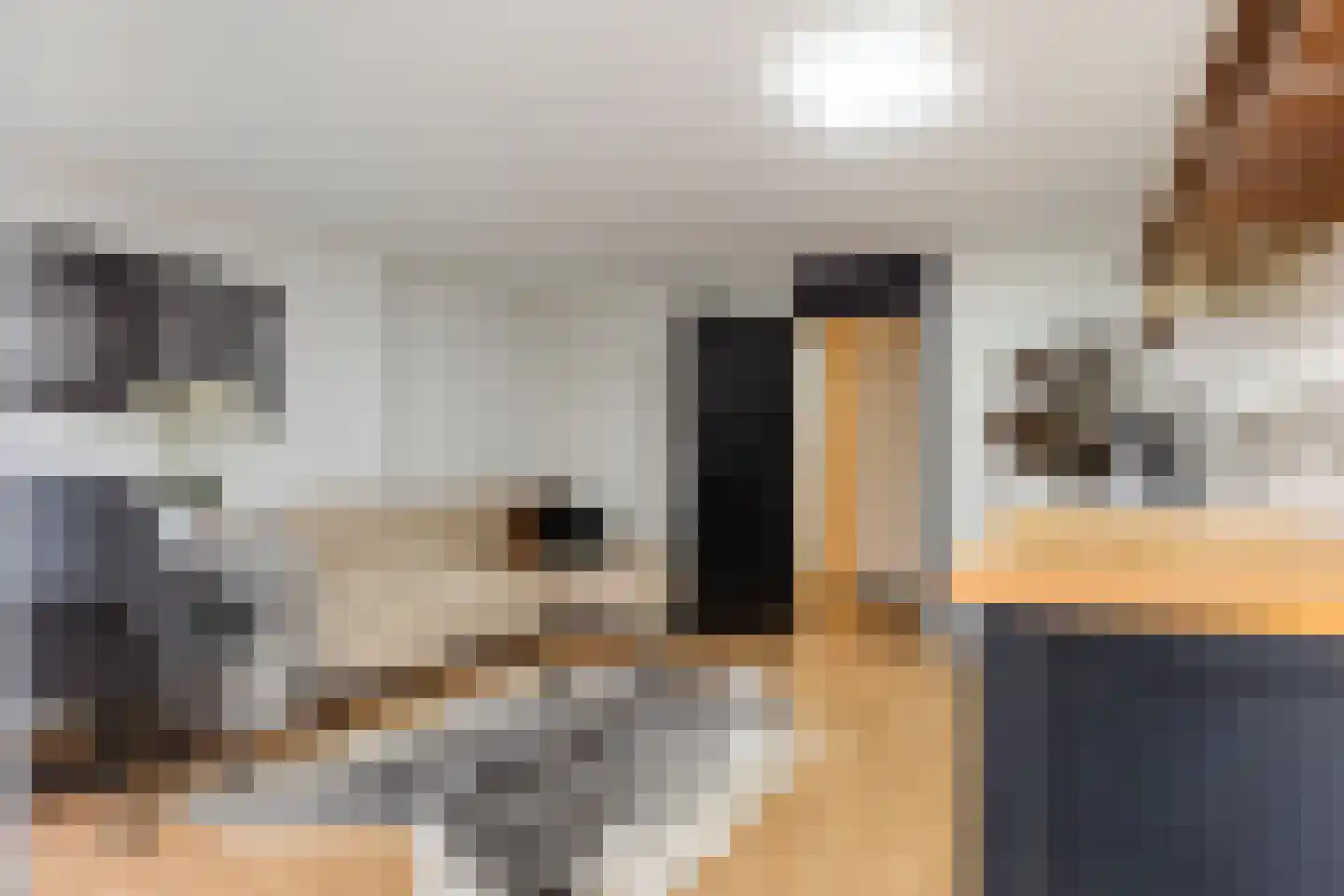Dovenetel 96 Apeldoorn thumbnail 7