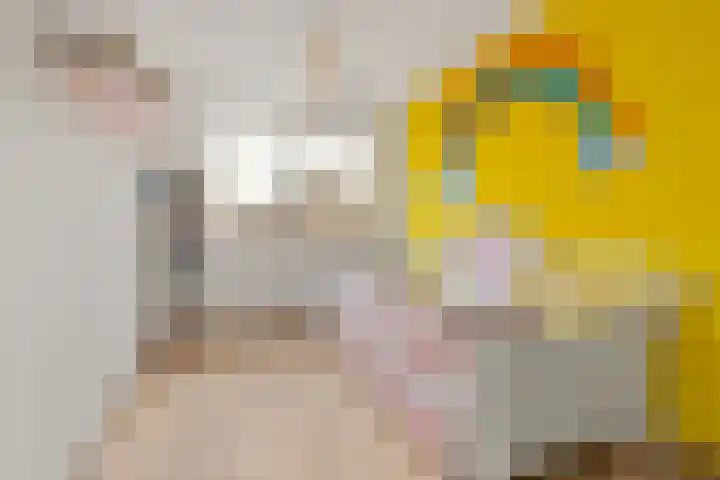 Dovenetelhof 1 Houten thumbnail 17