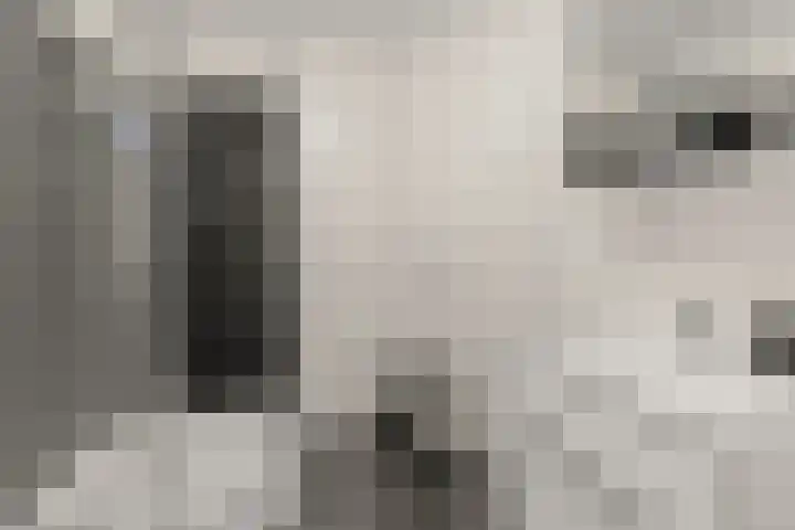 Dovenetelhof 1 Houten thumbnail 20