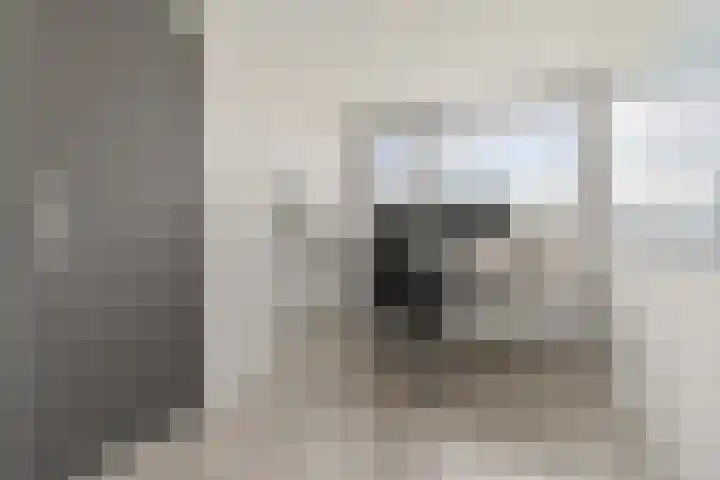 Dovenetelhof 1 Houten thumbnail 25