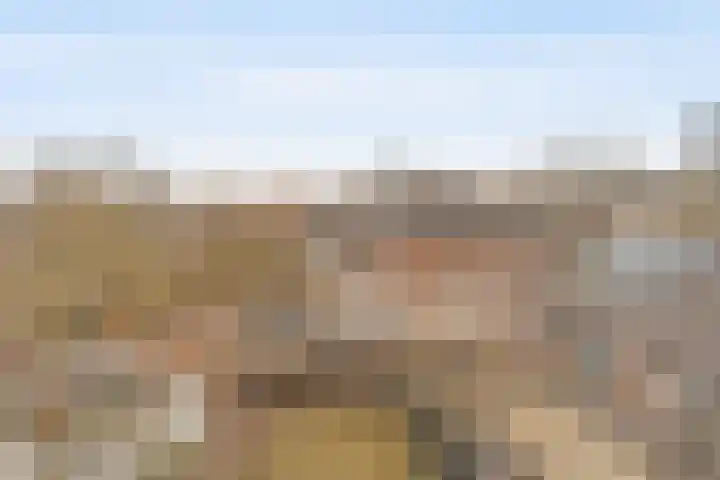 Dovenetelhof 1 Houten thumbnail 26