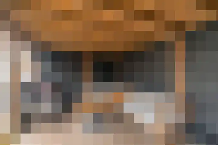 Dovenetelhof 1 Houten thumbnail 28