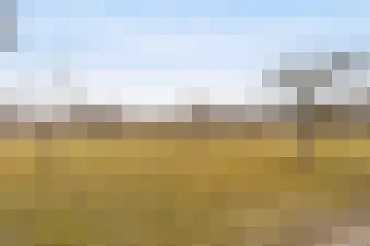 Dovenetelhof 1 Houten thumbnail 30
