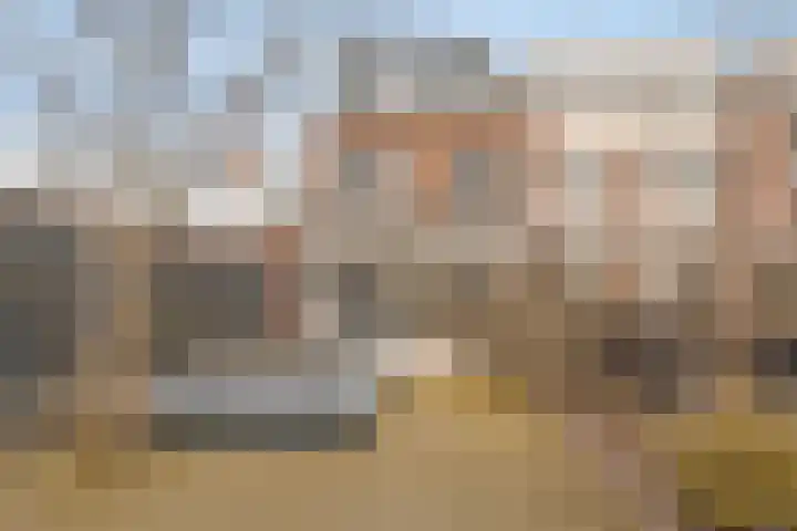 Dovenetelhof 1 Houten thumbnail 31
