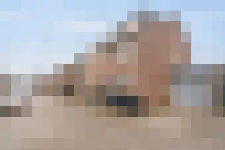 Dovenetelhof 1 Houten thumbnail 33