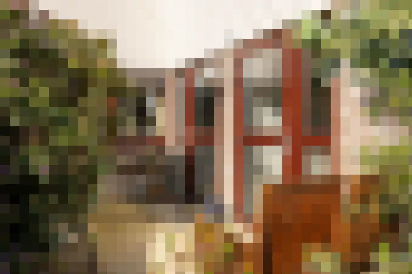 Dovenetelhof 10 Baarn thumbnail 24