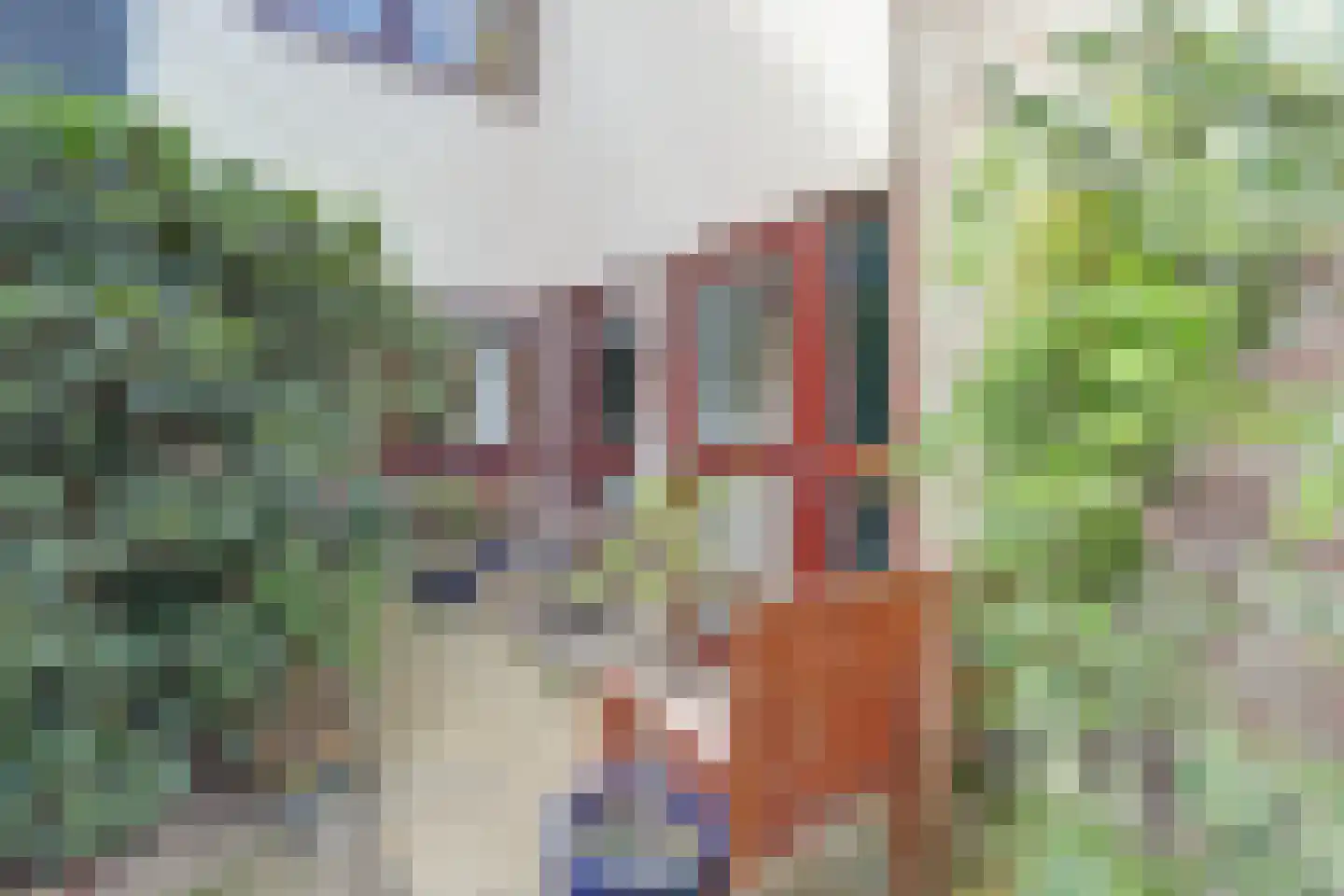 Dovenetelhof 10 Baarn thumbnail 24