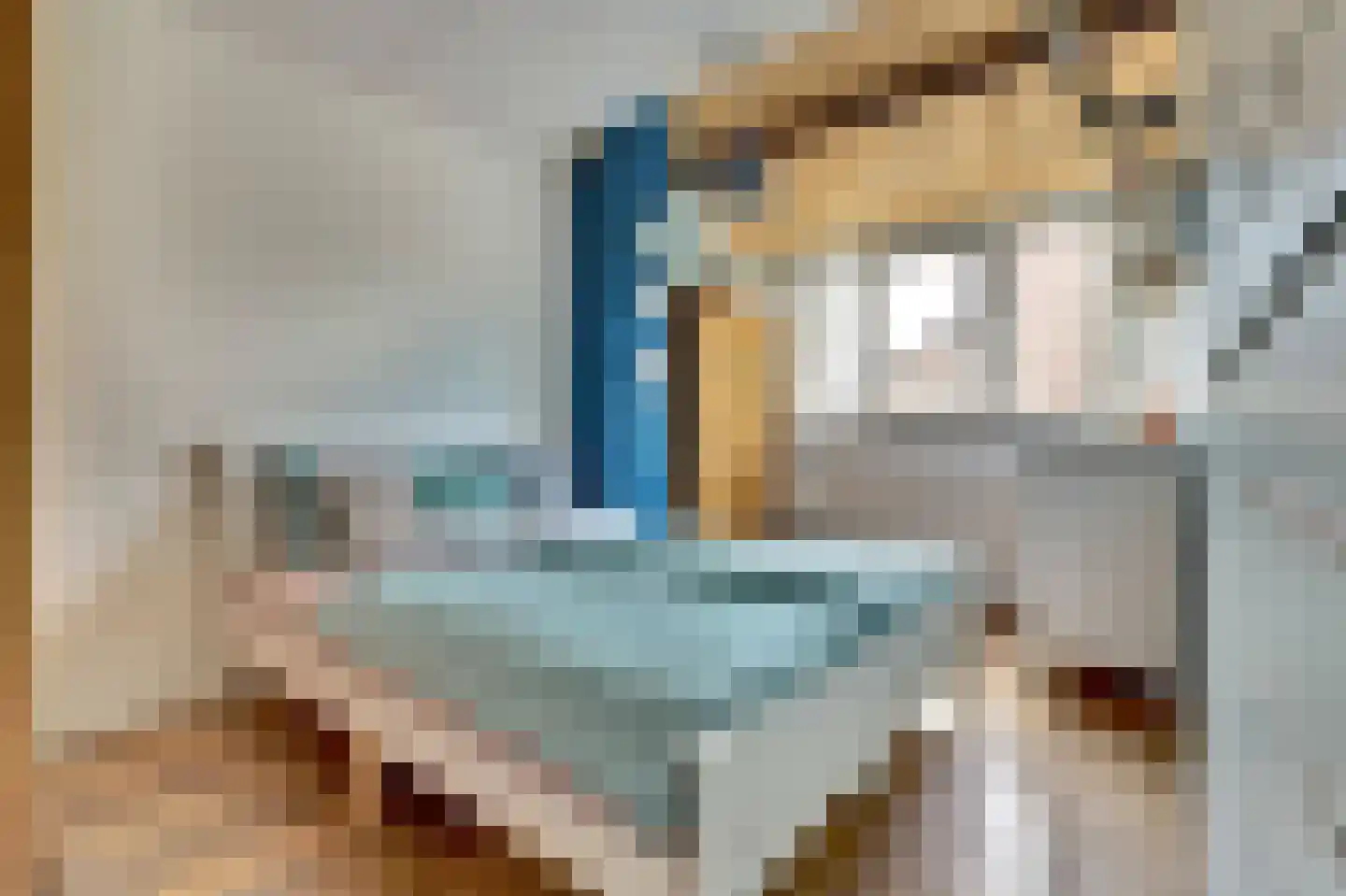 Dovenetelhof 10 Baarn thumbnail 8