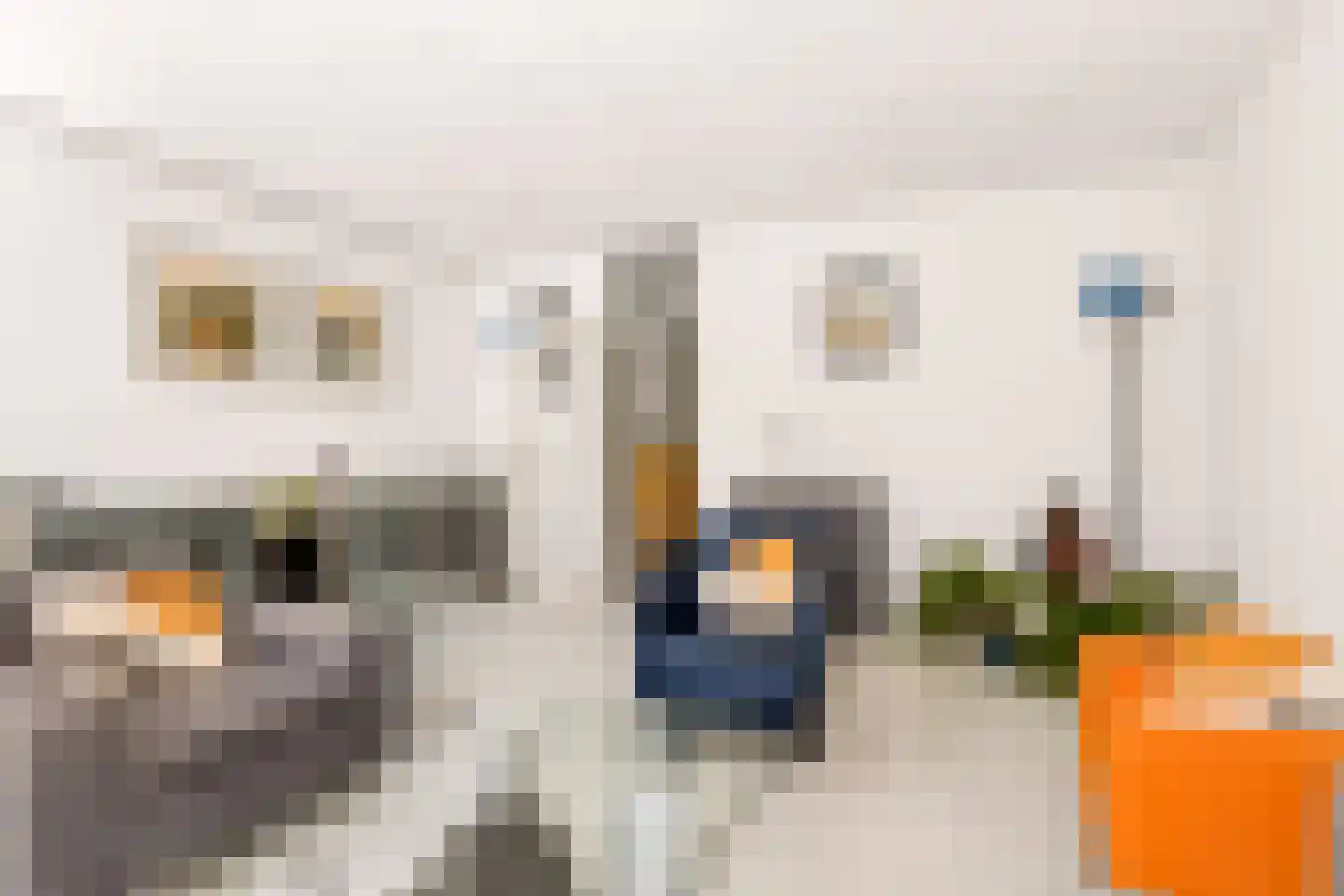 Dovenetelhof 37 Houten thumbnail 14